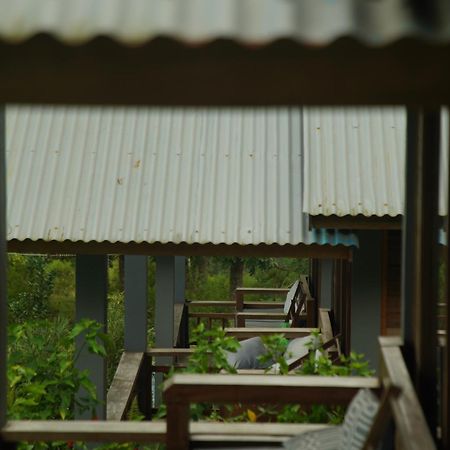 The Geckos Homestay Келимуту Стая снимка
