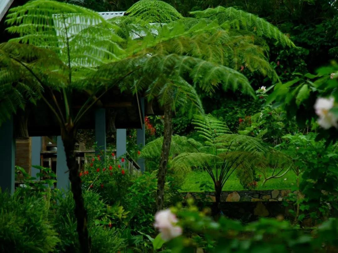 The Geckos Homestay Келимуту Екстериор снимка