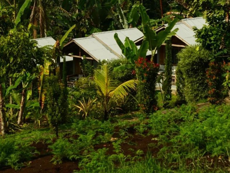 The Geckos Homestay Келимуту Стая снимка